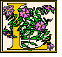 L.